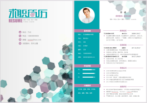 六边形个性图形简历