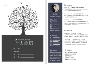 沉稳可视化商务求职简历-1