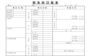 财务科目日报表-财务会计（002）