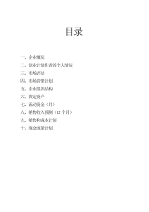 创业计划书模板-计划策划（002）