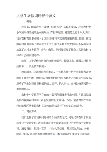 大学生暑假调研报告范文-社会实践（005）