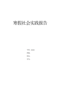 大学生超市寒假社会实践报告-社会实践（009）