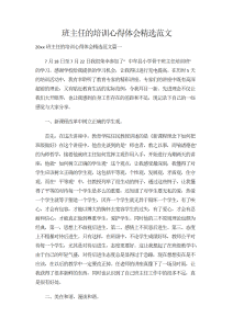 班主任的培训心得体会精选范文-心得体会（006）