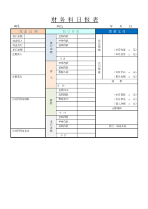 财务科目日报表-财务会计（009）